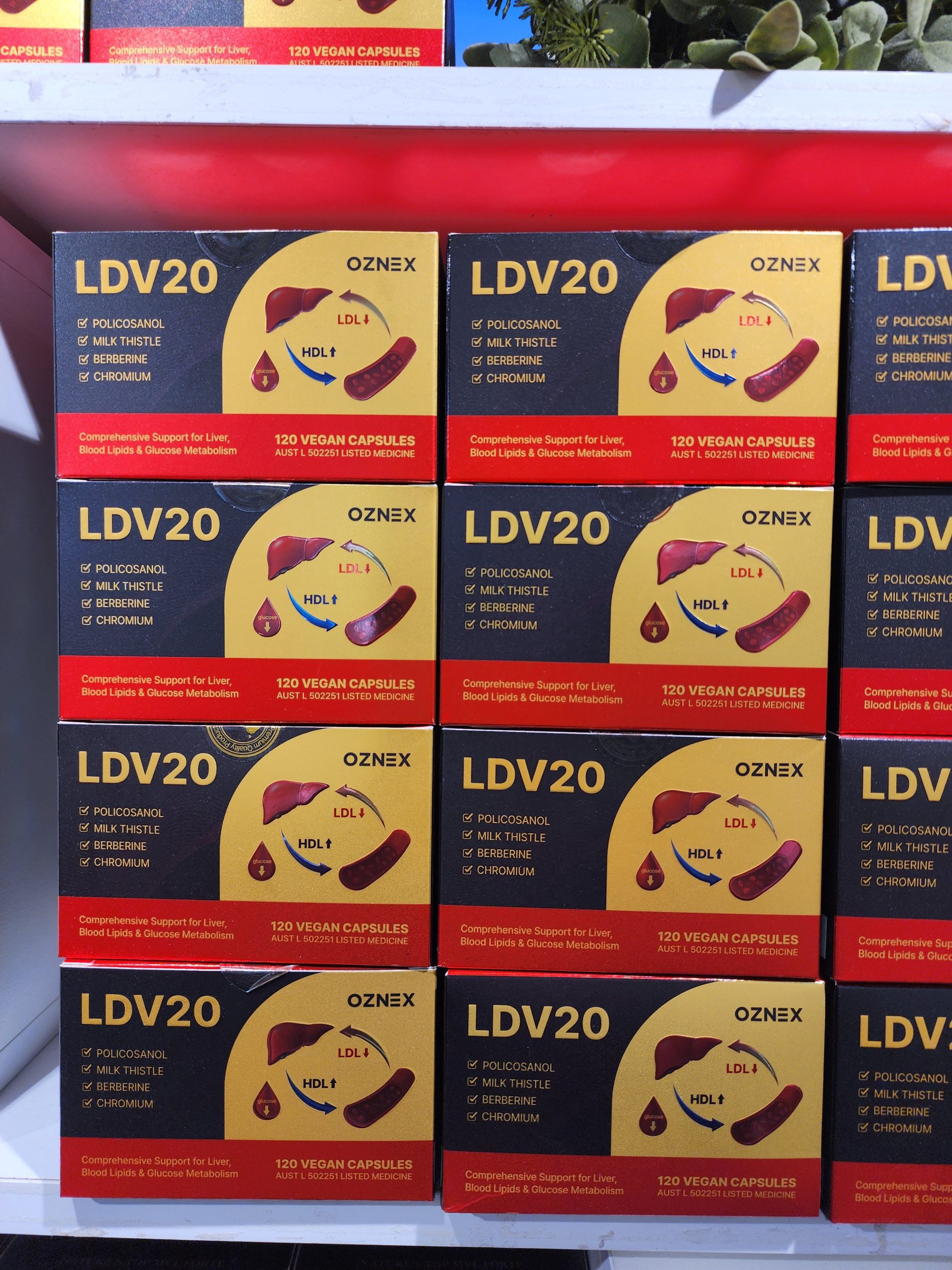 폴리코사놀 ldv20
